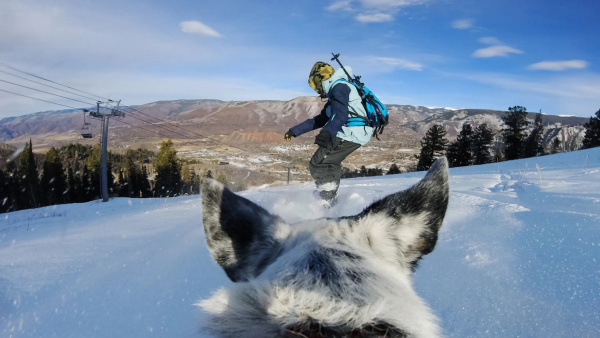 Крепление на собаку GoPro