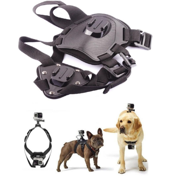 zl3f9821fm4uevyy1o2izbluwuguh3k3