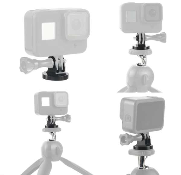 wf88399muzzz022llofcprntqn1i4vd2